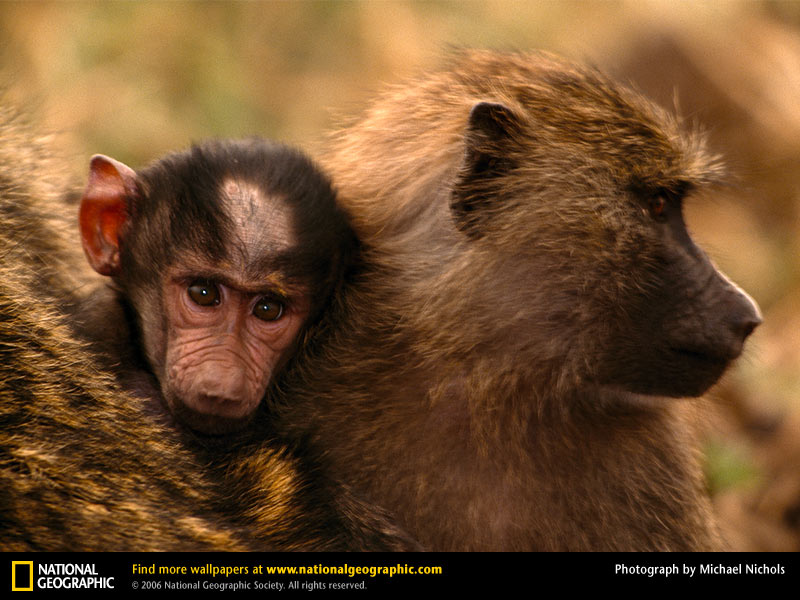 attachment.aspx?attachmentid=501544