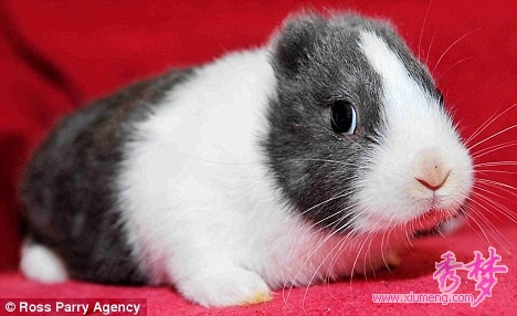 attachment.aspx?attachmentid=540990